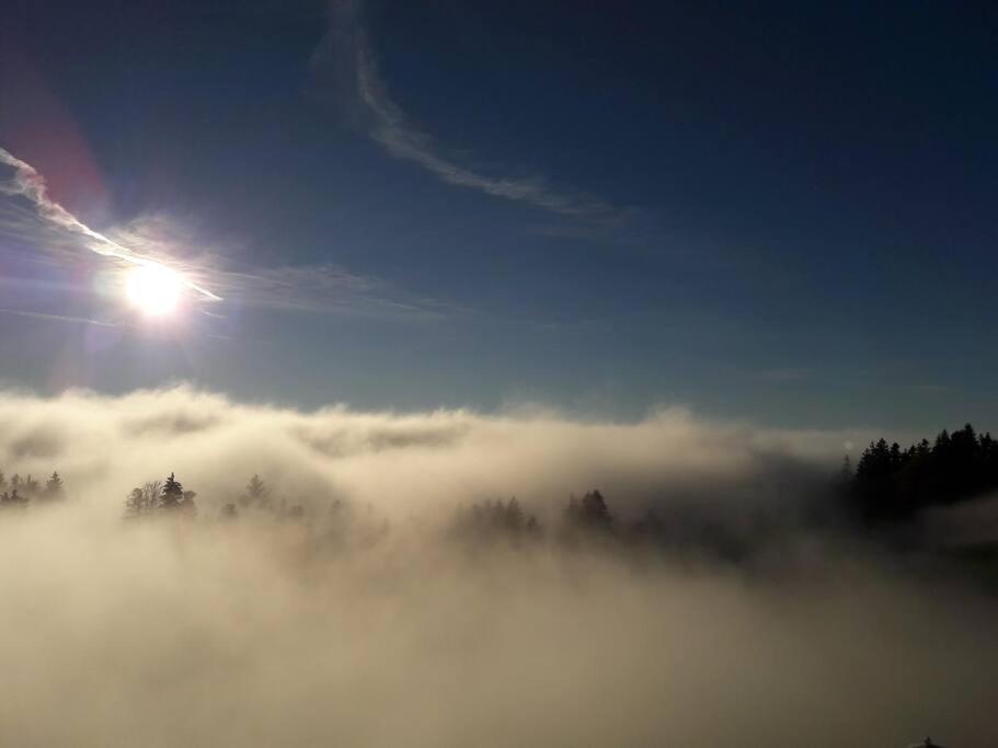 Grosszuegige Ferienwohnung Am Skigebiet Boedele Mit Rheintalblick Dornbirn Exterior foto